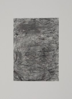 kleinthe-bush-series-1